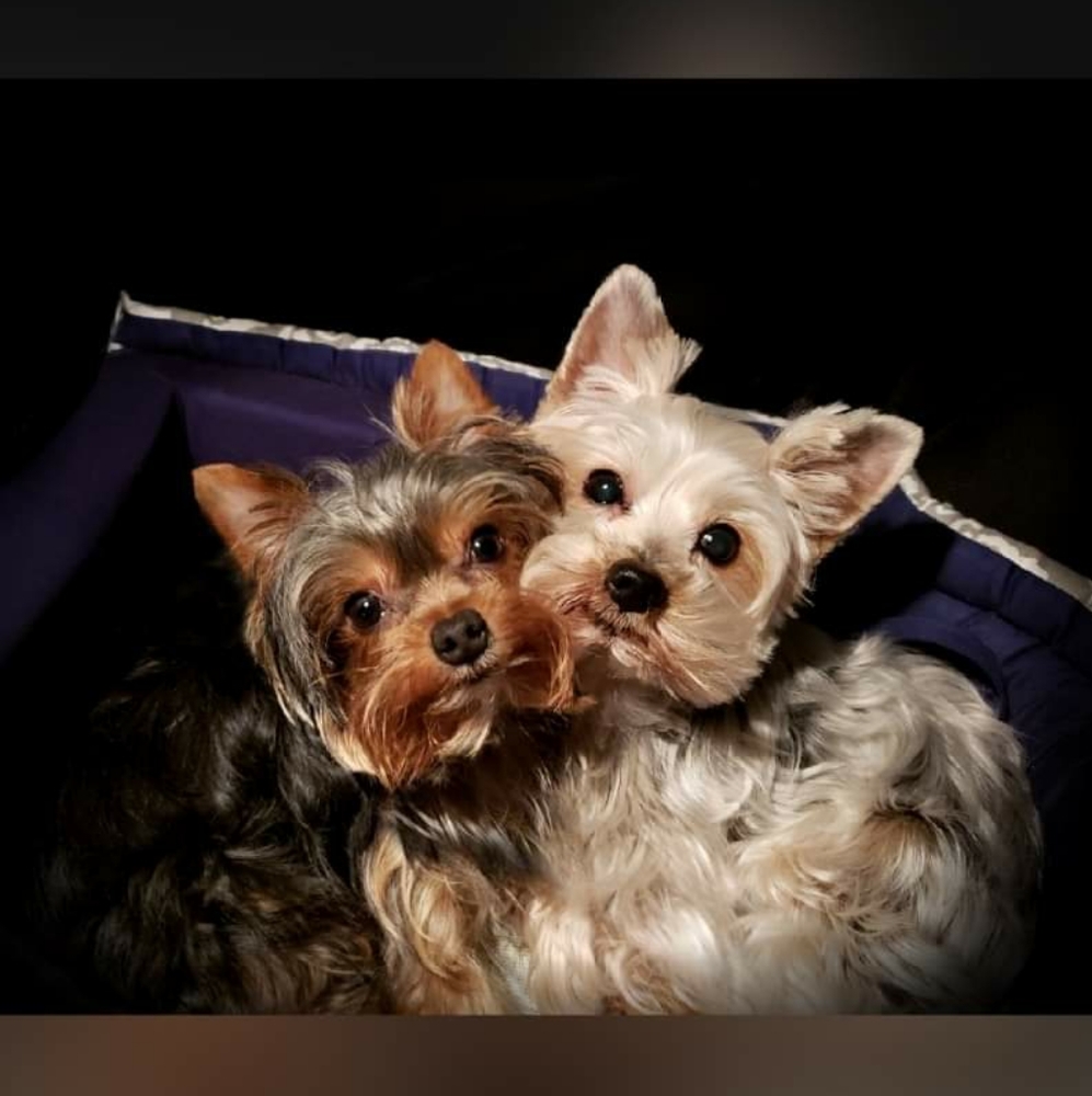 Meet your Posher, Ali